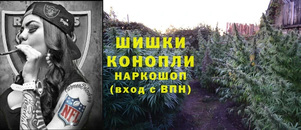 прущие крисы Мегион