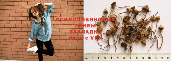 хмурый Медвежьегорск